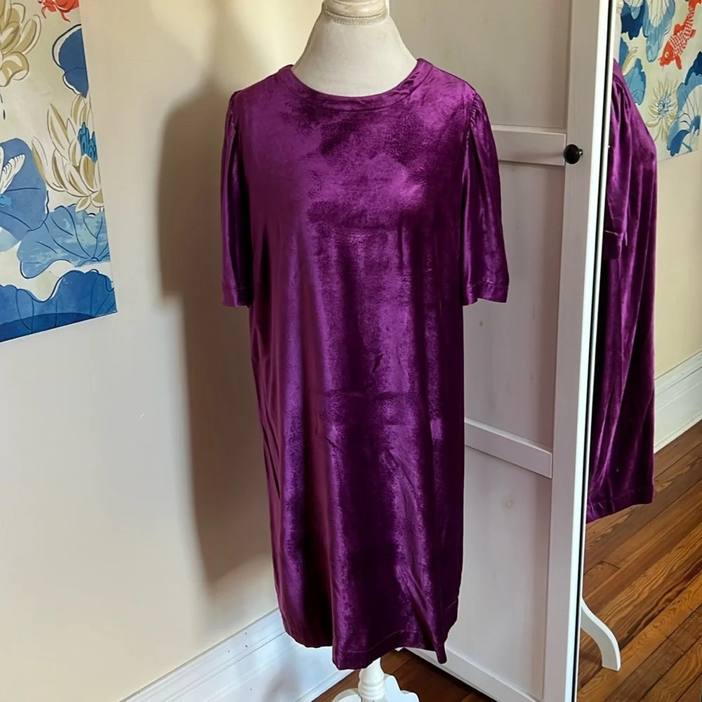 J. Jill Brilliant Jewel Tone Purple Puff Sleeve Velvet Dress Button Closure Sz M
